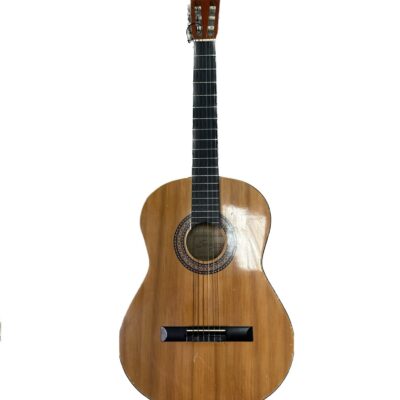 GUITARRA CLASICA SONORA SGN-450 CON FUNDA