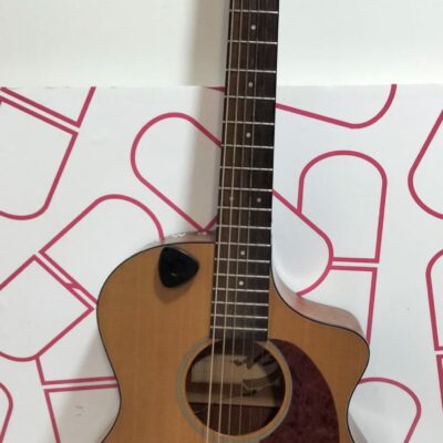 GUITARRA ACÚSTICA BREEDLOVE PASSPORT C25CE CON FUNDA RIGIDA + EXPENDEDOR PUAS + PASTILLA ADELINE AD-30